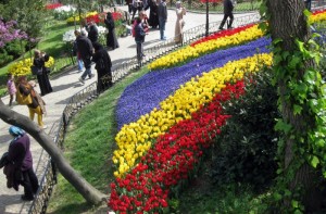 03_emirgan_korusu_lale_festivali_lale_çeşitleri