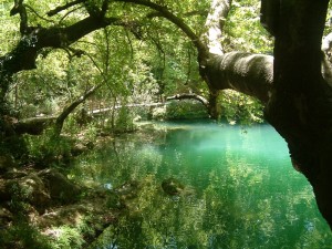 yansıma