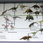 Dinozor Türleri