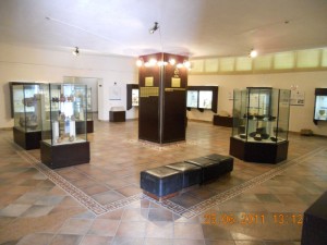in the museum