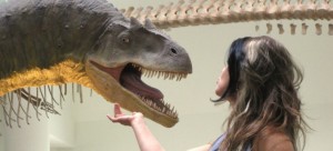 120_mta_allosaurus-e1422644385725
