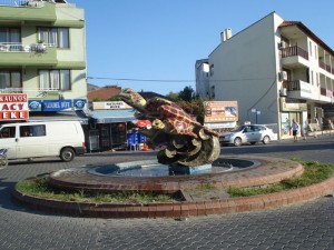 caretta