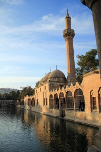 sanliurfa_balikli_gol