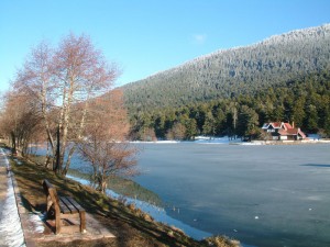 gölcükte kış