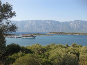 yeşil - mavi
