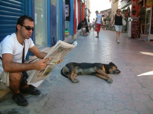 bodrum