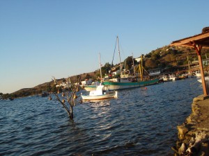 Bodrum Gümüşlük