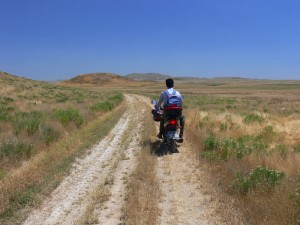 moto safari