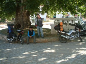 çınar gölgesi