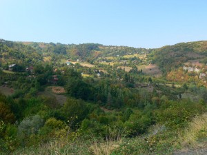 kaynaşlı civarları