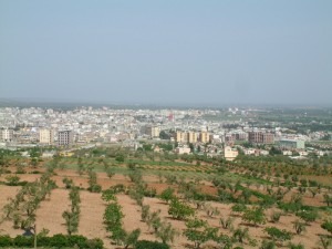 Kilis'te bağlar