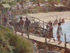 survivor adası