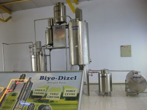 biyodizel