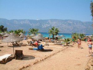 palmiye