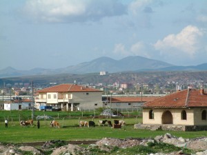 kırsal kesim