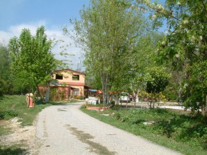 pınarbaşı alabalık
