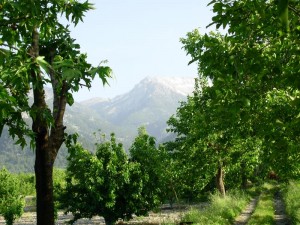 Honaz Dağı Milli Parkı (Denizli)