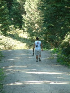 Ilgaz Dağı Milli Parkı Yürüyüş Parkuru