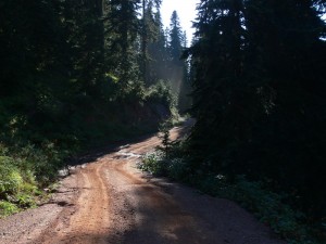Ilgaz zirve yolu