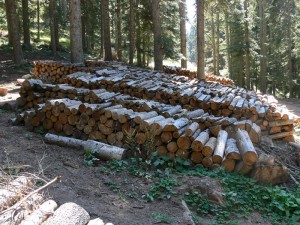 Ilgaz Dağı Milli Parkı Yürüyüş Parkuru