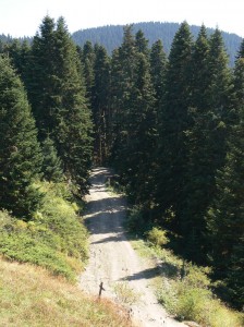 Ilgaz Dağı Milli Parkı