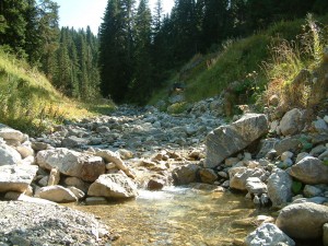 Ilgaz Dağı Karanlık Dere