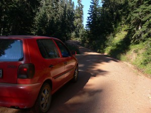 Ilgaz Zirveye Doğru