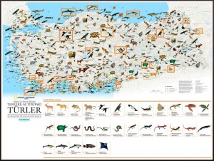 National Geographic Tehlike Altındaki Türler Haritası - Tehlike Altında Olan Türler