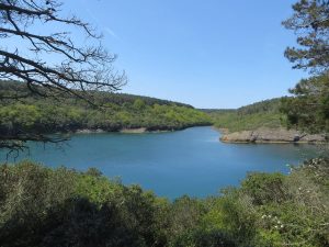 Hamsilos Fiyordu