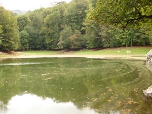 Nazlıgöl - Yedigöller