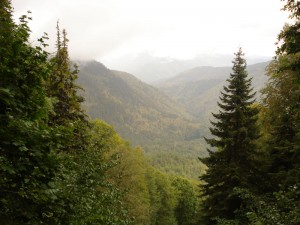 Bolu Dağları - Yedigöller Manzarası