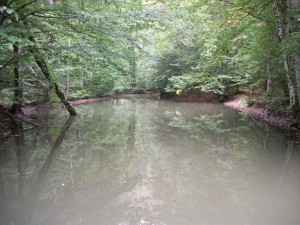 Yedigöller İncegöl