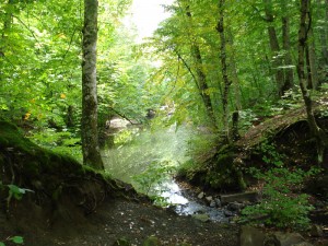 Yedigöller İncegöl