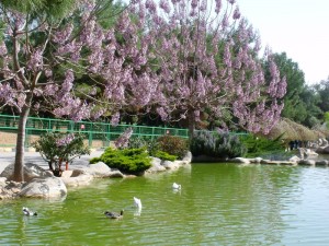 gaziantep zoo