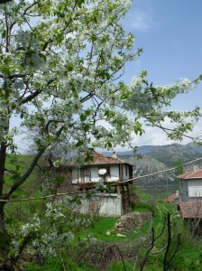 köy evi