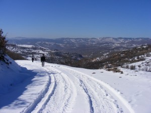 karagöl yolu