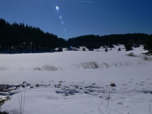 gölde kış