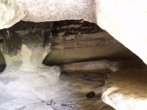 taşköprü zımbıllı tepe