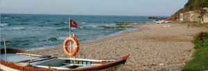 Bozköy plajı 550X190