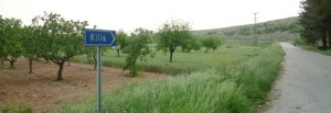 post_image